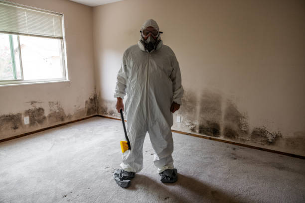 Best Commercial Mold Removal  in Tok, AK
